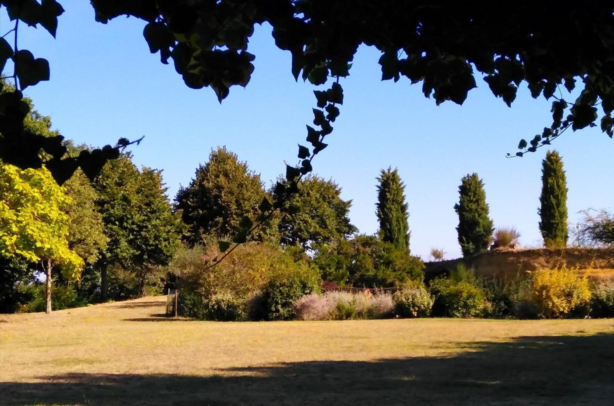 Locanda Rosati Orvieto Eksteriør bilde